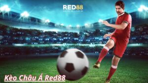Tổng quan về kèo châu Á Red88