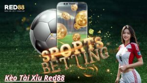 Thông tin kèo tài xỉu