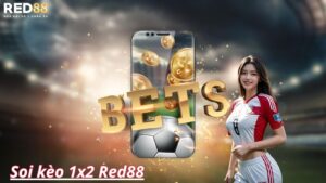 Thông tin về kèo 1x2